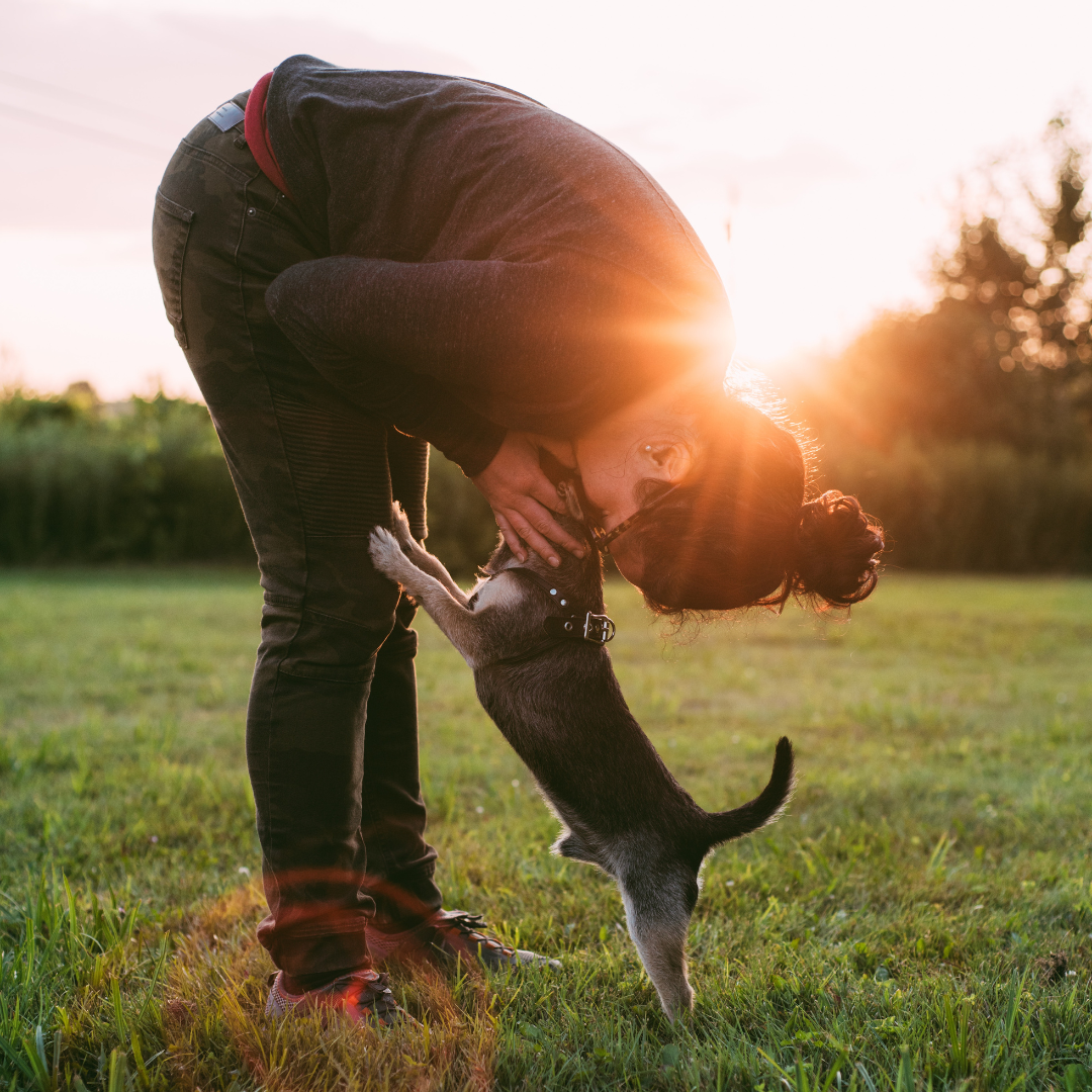 Terapia y apoyo emocional con perros: Un lazo que sana