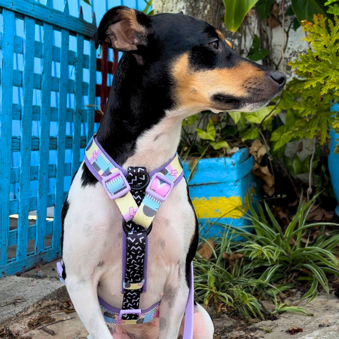 Classic Comfort Harness ~ RETRO