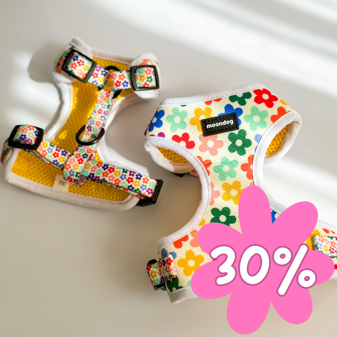 Arnés Ajustable "Primavera"