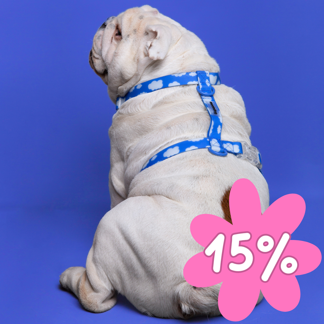 Waterproof Harness SKY
