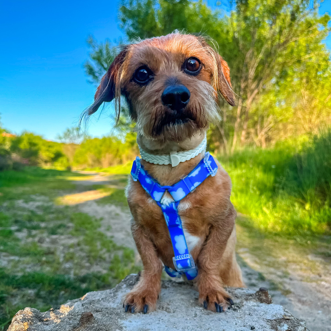 Arnés Waterproof SKY