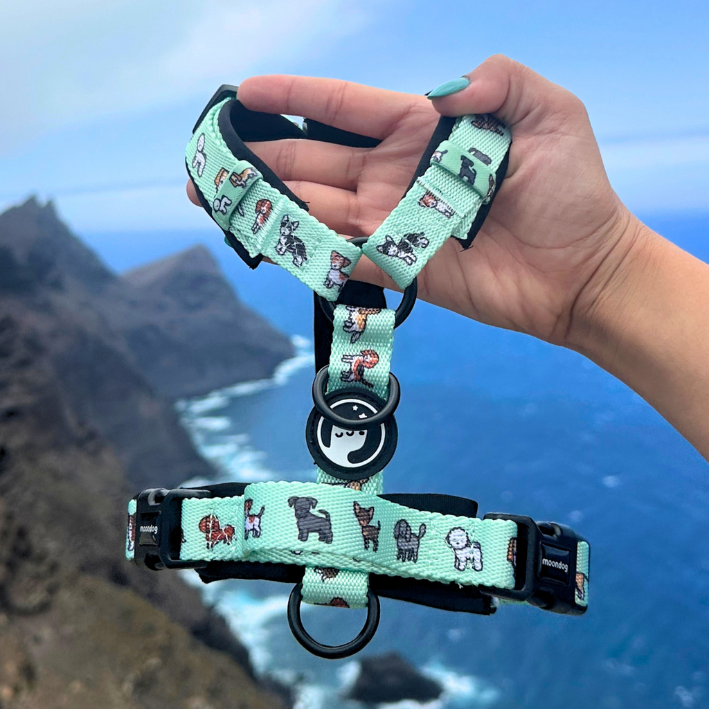 Classic Comfort Harness ~ BEST FRIEND