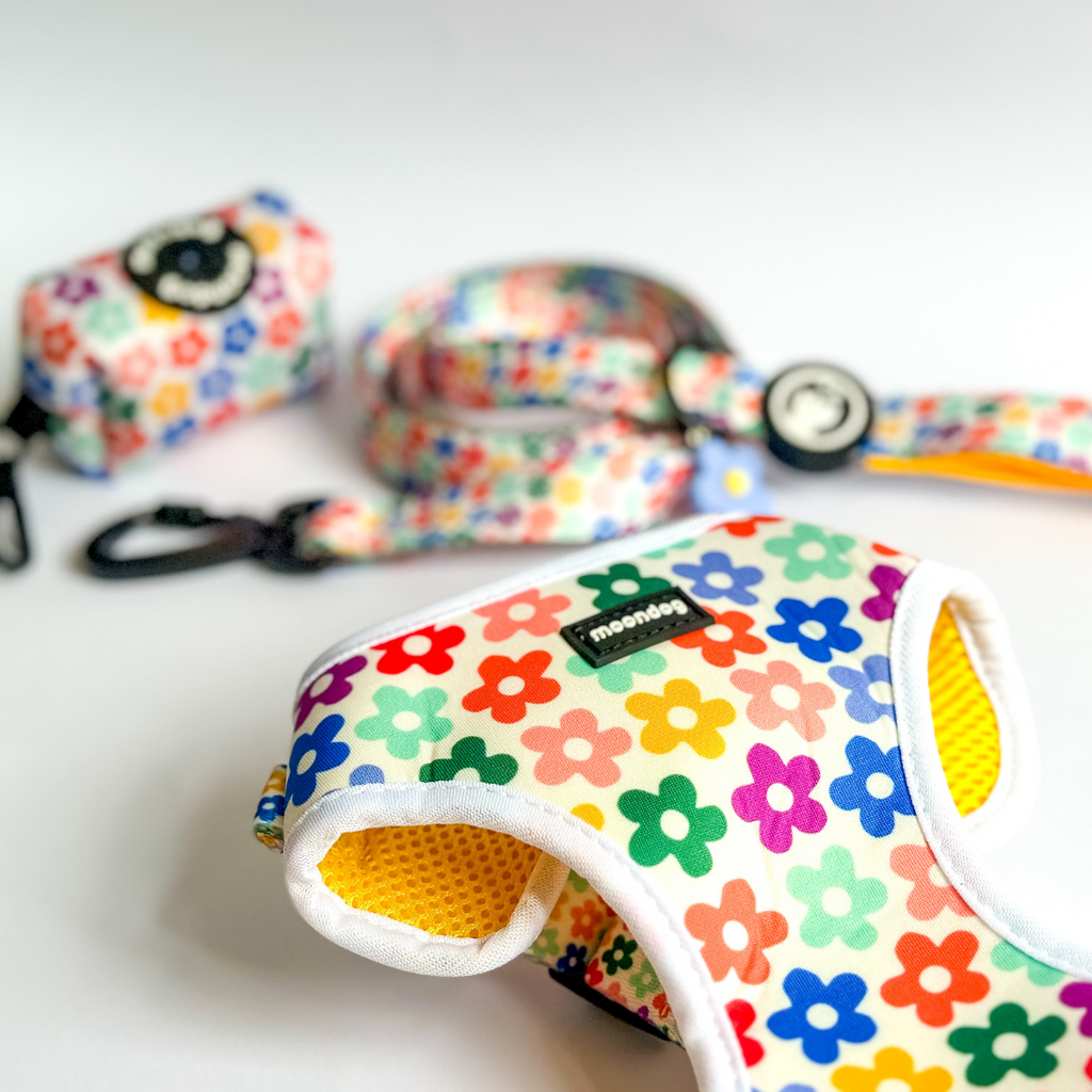 Adjustable Harness "Spring"