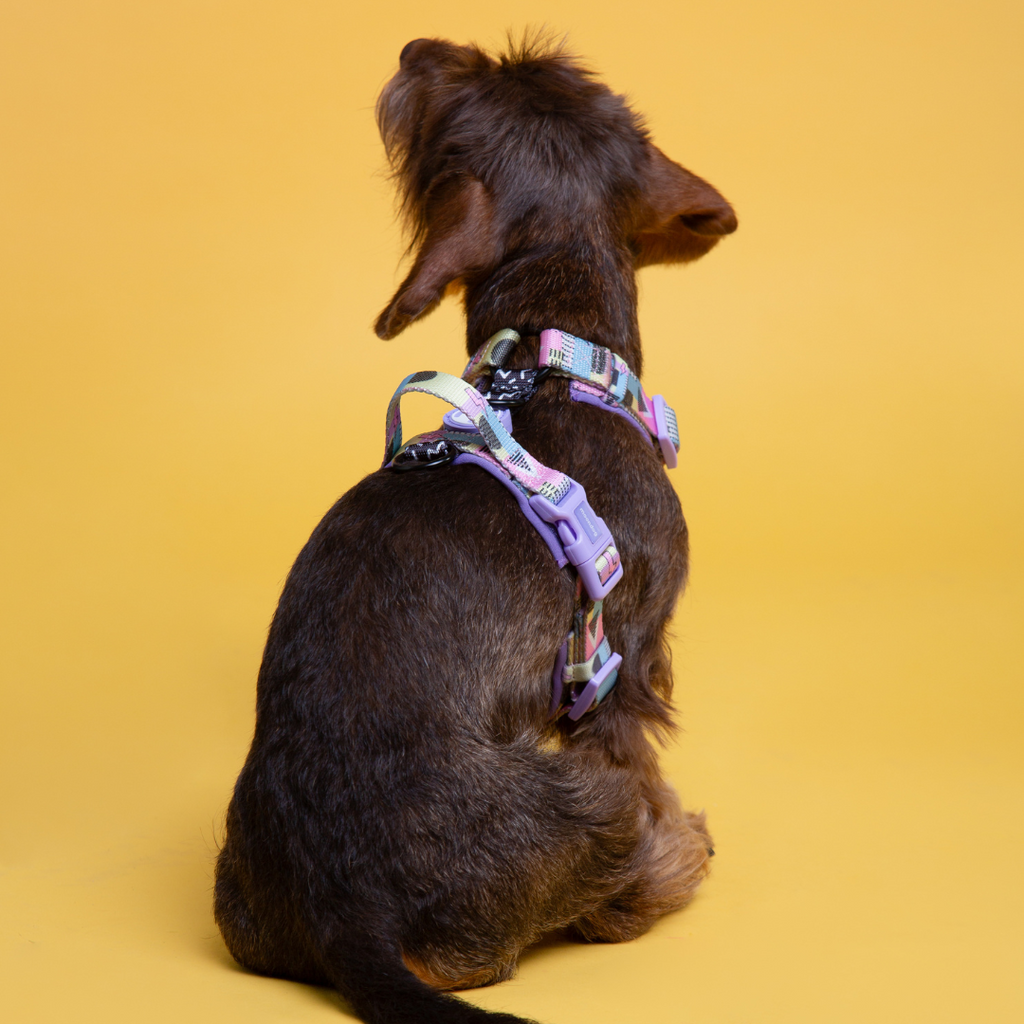 Classic Comfort Harness ~ RETRO