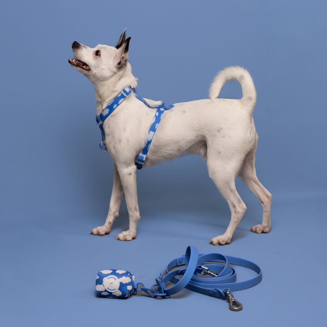 Arnés Waterproof SKY