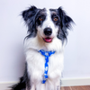 Waterproof Harness SKY