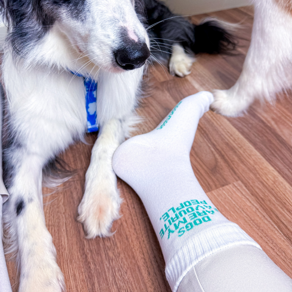 Calcetines Dogs are my favourite people