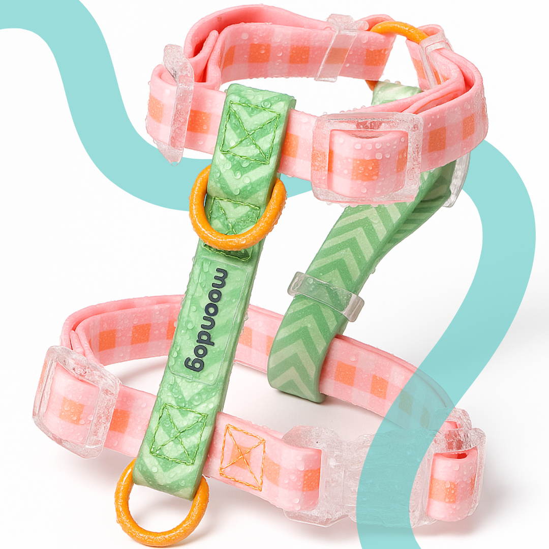 Arnés Waterproof PICNIC