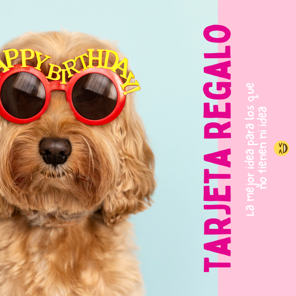Tarjeta Regalo "SPACEPUP"