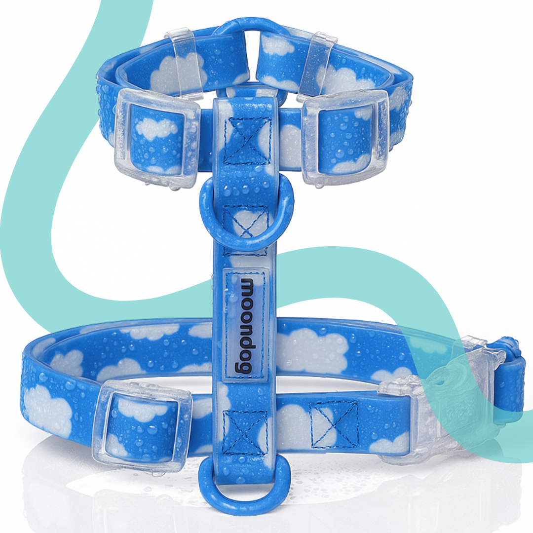 Arnés Waterproof SKY