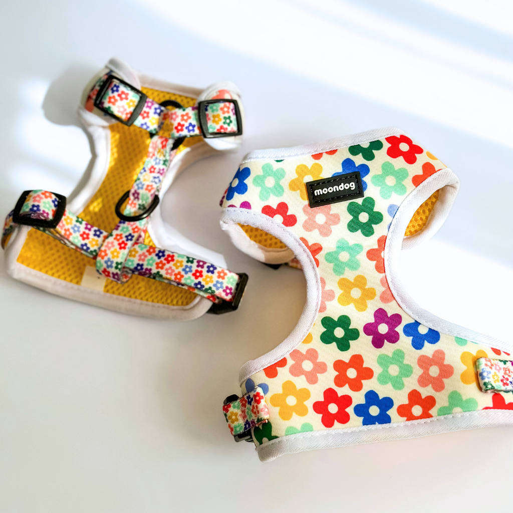 Adjustable Harness "Spring"