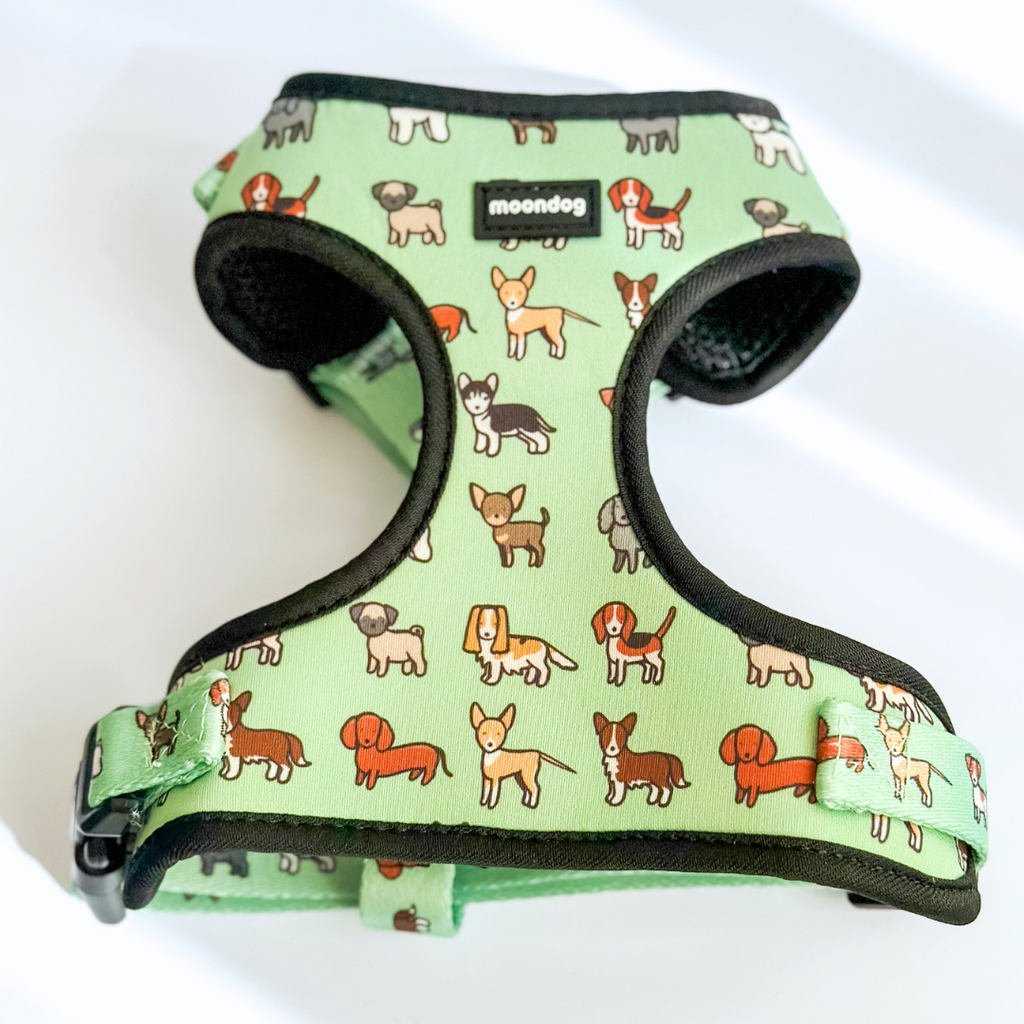 Adjustable Harness "Best Friend"