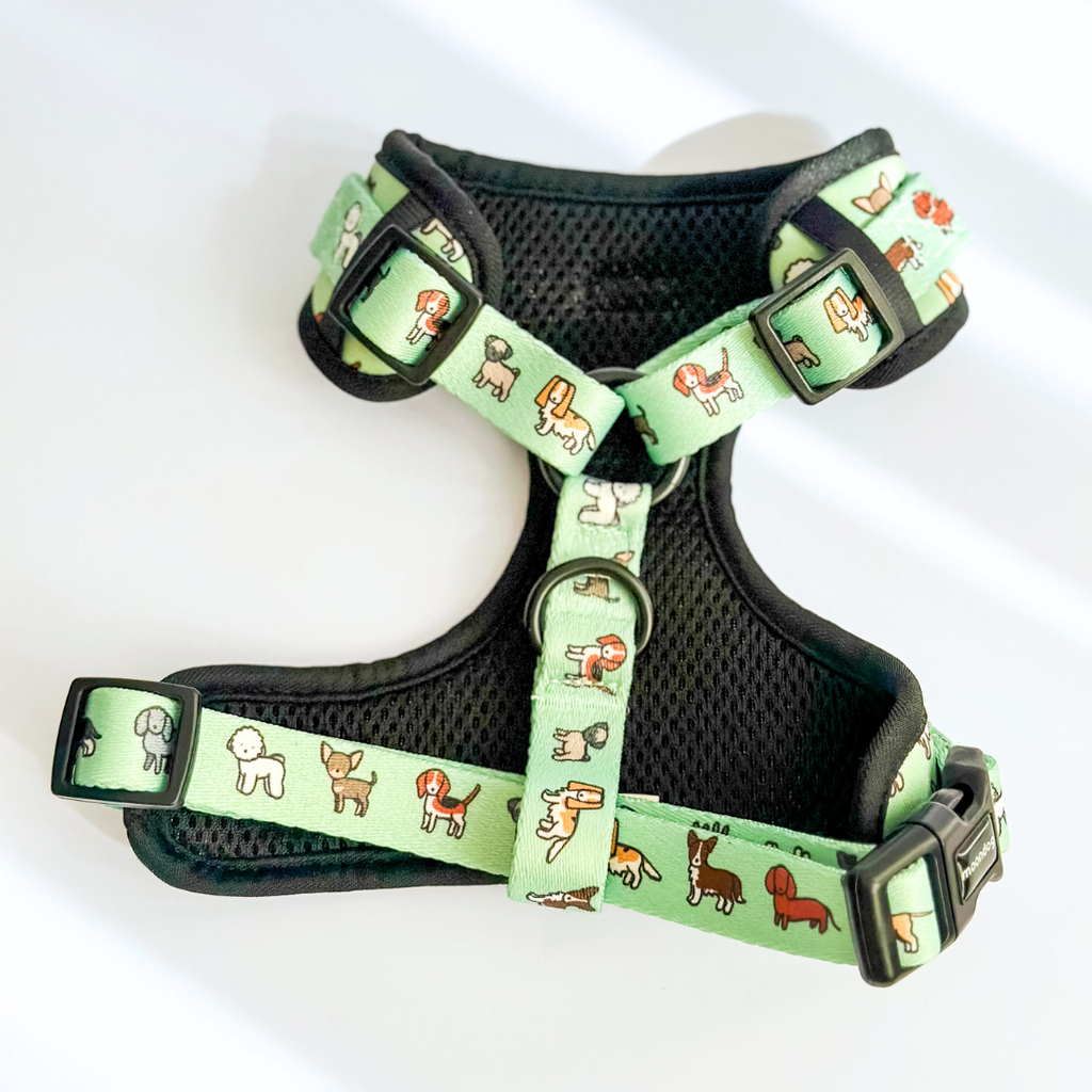 Adjustable Harness "Best Friend"