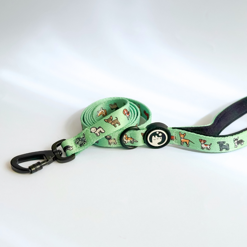 Correa - Best Friend💖 