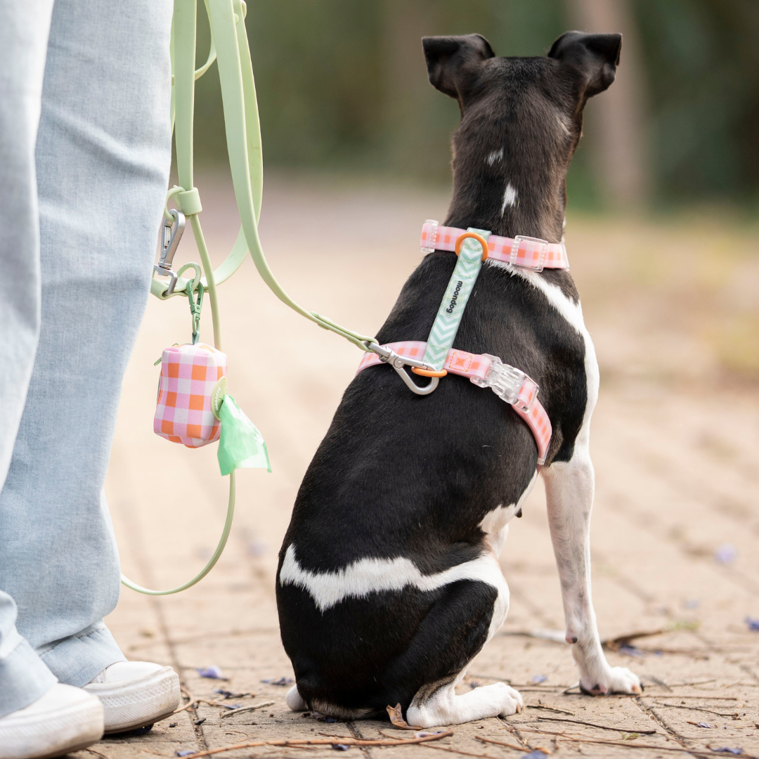 Arnés Waterproof PICNIC