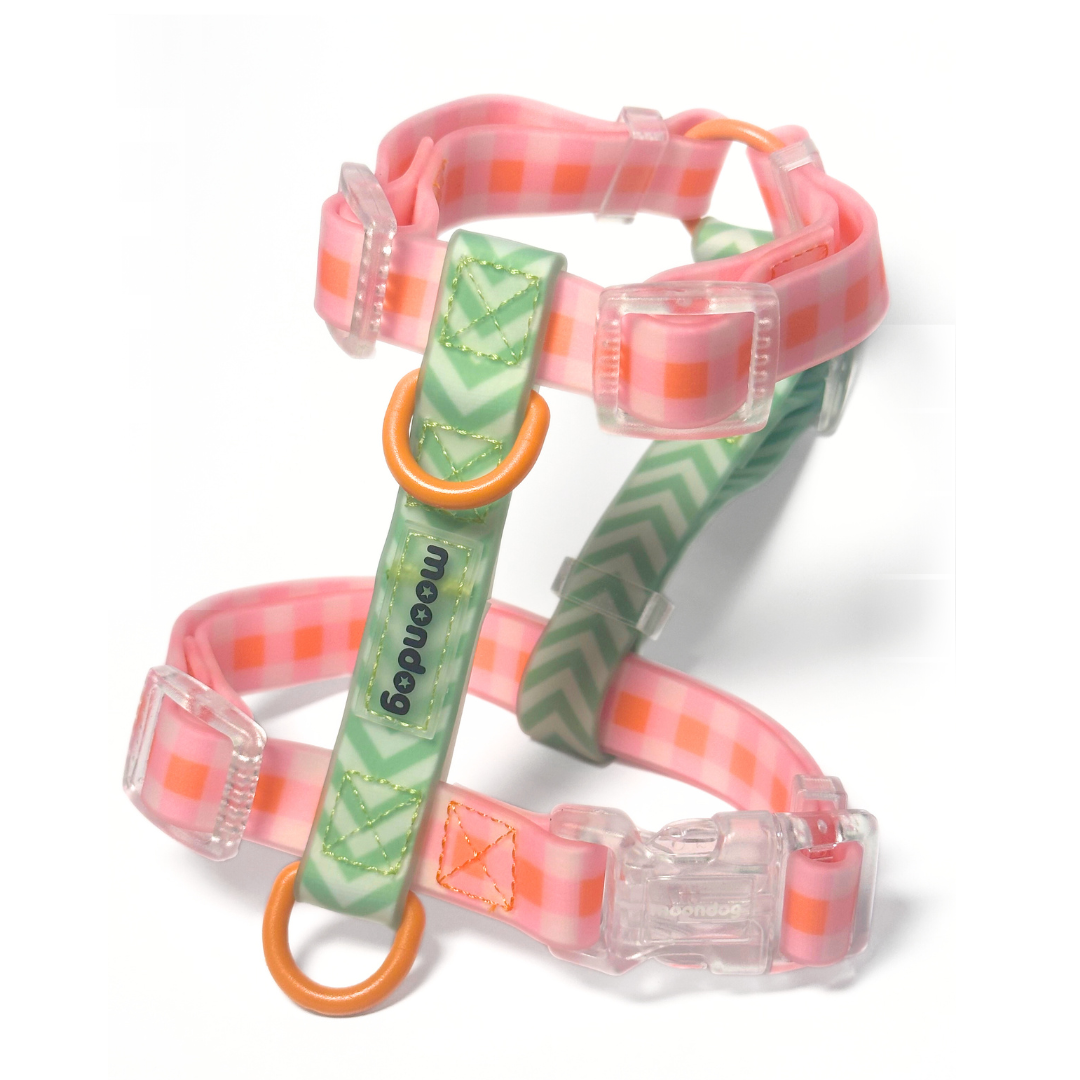 Arnés Waterproof PICNIC