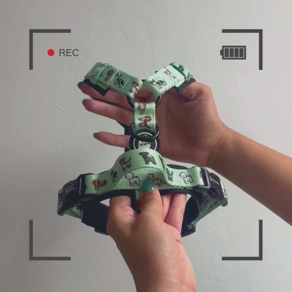 Classic Comfort Harness ~ BEST FRIEND