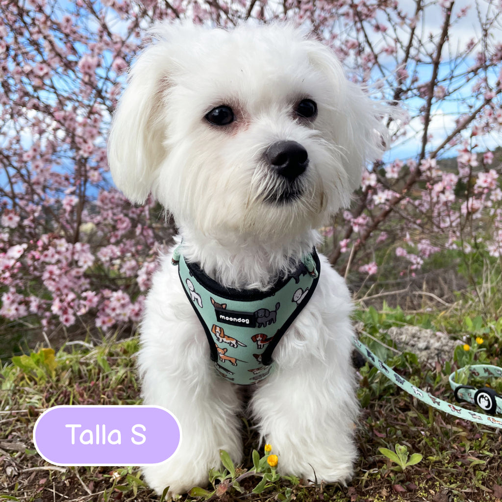 Adjustable Harness "Best Friend"