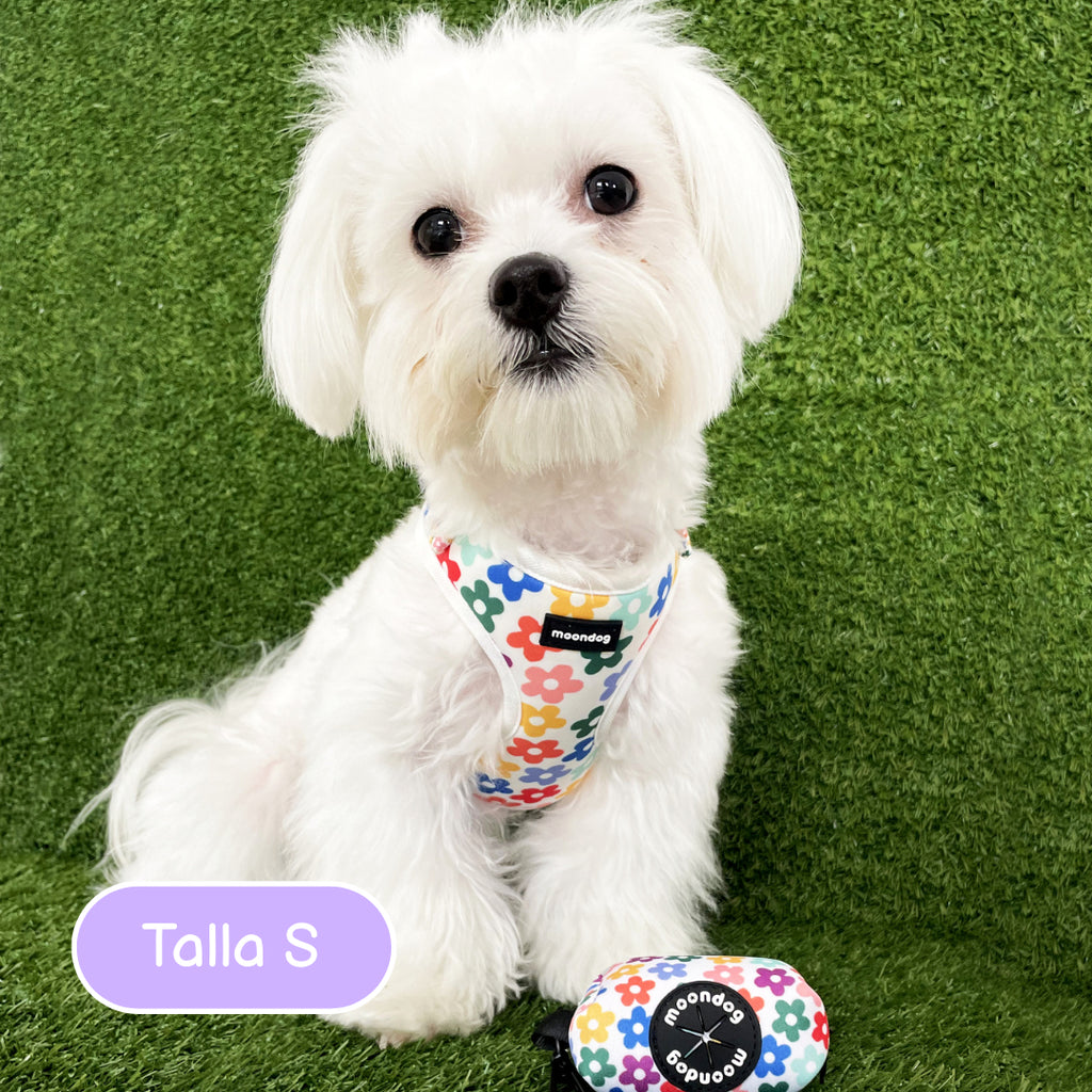 Adjustable Harness "Spring"