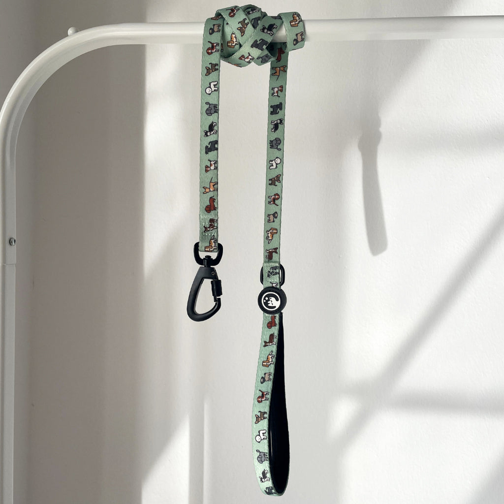 Correa - Best Friend💖 