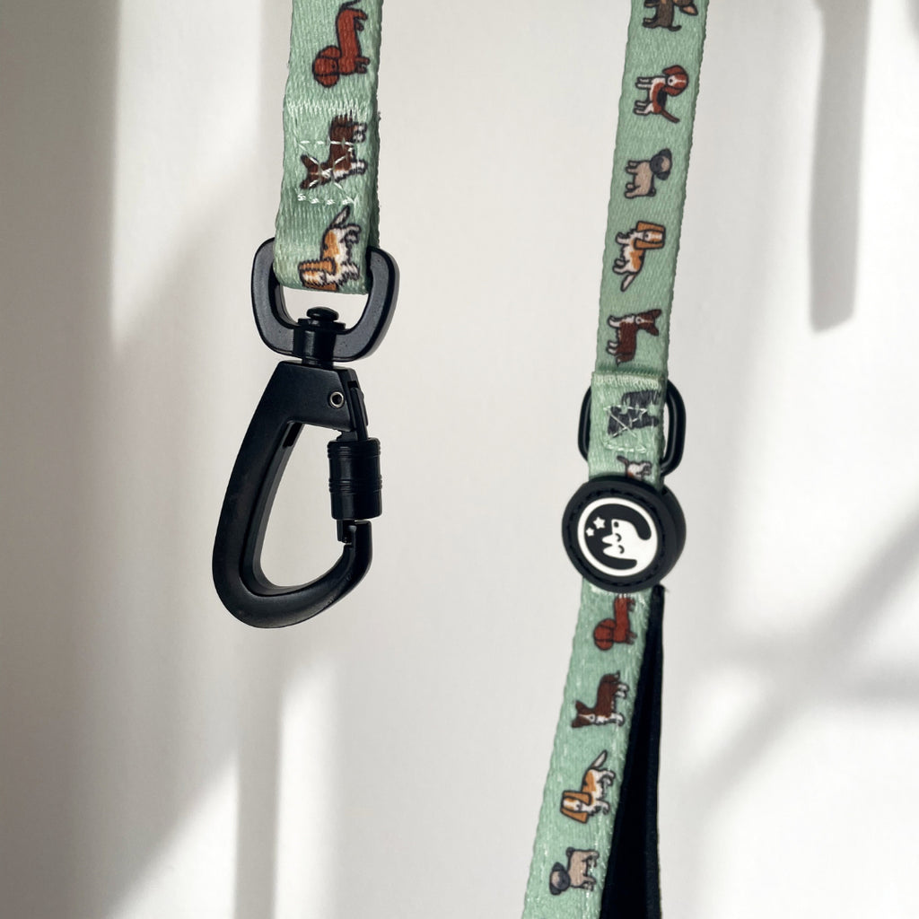 Correa - Best Friend💖 